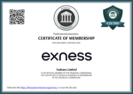 Understanding Exness Bonus Compensation Maximizing Your Trading Potential Understanding Exness Bonus Compensation Maximizing Your Trading Potential